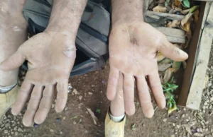 Polícia prende quatro pessoas por trabalho análogo à escravidão e crime ambiental