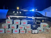 Polícia apreende quase meia tonelada de cocaína em operação na fronteira de MT
