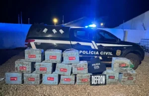 Polícia apreende quase meia tonelada de cocaína em operação na fronteira de MT