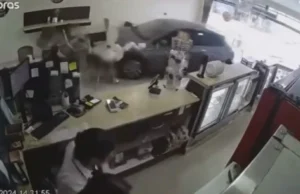 Veículo desgovernado invade estabelecimento e quase atropela criança em SP; veja