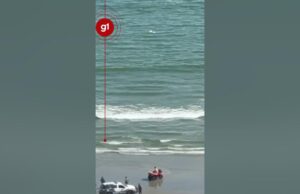 Criminoso é encontrado na praia, tenta fugir a nado, mas é preso pela polícia de SP