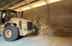 Quadrilha é presa trocando 50 toneladas de soja por areia em MT