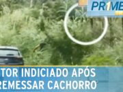 Pastor é indiciado após ser flagrado abandonando cachorro em área de mata; veja