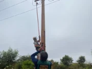 Operação flagra empresa furtando energia; prejuízo chega a R$ 600 mil