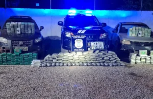 Polícia apreende 365 tabletes de drogas após perseguição em rodovia de MT