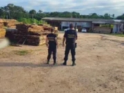 PF bloqueia R$ 1,2 milhão de envolvidos em extração ilegal de madeira