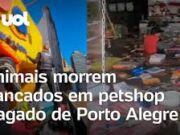 Rio Grande do Sul: Animais morrem trancados em petshop alagado de Porto Alegre; veja