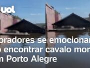 Cavalo é encontrado morto em cima de ponto de ônibus e moradores se emocionam; veja