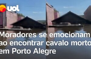 Cavalo é encontrado morto em cima de ponto de ônibus e moradores se emocionam; veja