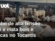 Queda de raio no RS: vídeos flagram descarga elétrica e intenso clarão; veja