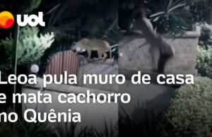 ‘Pouso milagroso’: Avião com pane de motor plana até pista de táxi após desviar de casas