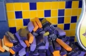 Motorista de 22 anos é preso transportando 716 kg de maconha em Fiat Siena