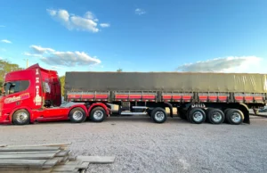 Mulher é presa por sortear carreta nas redes sociais