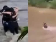 Vídeo mostra amigos se abraçando antes de serem arrastados por forte correnteza; veja