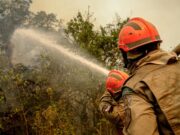 Bombeiros extinguem incêndio em propriedades do Pantanal em Poconé
