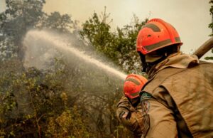 Bombeiros extinguem incêndio em propriedades do Pantanal em Poconé