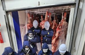 Motorista é preso com droga escondida em caminhão de carne no interior de MT