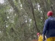 Vídeo mostra local em que avião caiu e destroços em Santa Catarina; VEJA