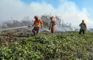 Bombeiros seguem atuando em duas frentes no combate ao incêndio no Porto Conceição