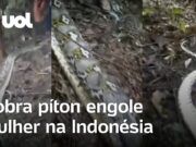 Mulher é engolida por cobra píton de 9 metros e encontrada no estômago do bicho na Indonésia