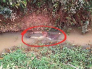 Entregador de 17 anos que estava desaparecido é encontrado morto em córrego