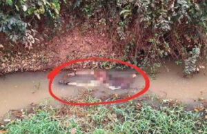 Entregador de 17 anos que estava desaparecido é encontrado morto em córrego