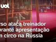 Urso ataca treinador durante apresentação em circo na Rússia; veja momento