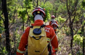 Bombeiros combatem 48 incêndios florestais em MT