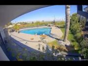 Atriz salva sua cadela após coiote capturá-la no quintal de casa na Califórnia; veja