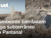 Pantanal em chamas: Bombeiros combatem incêndio subterrâneo no bioma; veja