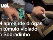 Polícia apreende drogas dentro de túmulo violado em cemitério em Brasília; veja