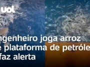 Engenheiro joga arroz de plataforma de petróleo e diz que isso pode acontecer com humanos