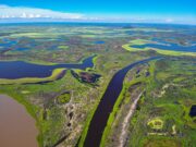 PV pede anulação de lei de MT que altera normas de proteção do Pantanal