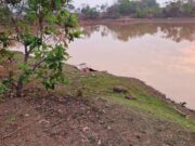 Jovem de 17 anos sai para nadar com os amigos em lagoa de VG e morre afogado