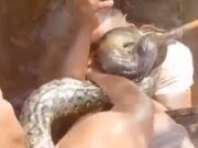 Homem morde sucuri para escapar de ataque no Pará; veja momento