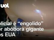 Policial é ‘engolido’ por abóbora gigante de decoração de Halloween nos EUA; veja