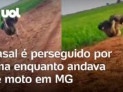 Casal é perseguido por ema enquanto andava de moto em Minas Gerais; veja