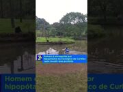 Homem é perseguido por hipopótamo após invadir área restrita em zoológico; veja