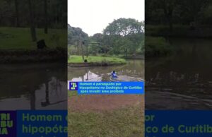 Homem é perseguido por hipopótamo após invadir área restrita em zoológico; veja