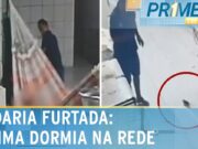 Flagra: Ladrão foge de padaria ao ser surpreendido por rato; veja