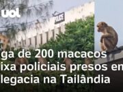 Fuga de 200 macacos deixa policiais presos em delegacia na Tailândia; veja