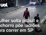 Pitbull expulsa ladrões após mulher soltá-lo para tentar impedir assalto em SP