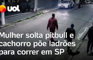 Pitbull expulsa ladrões após mulher soltá-lo para tentar impedir assalto em SP