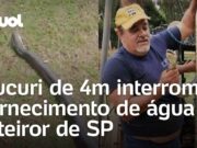Sucuri de 4 metros entra em tubulação e interrompe fornecimento de água em SP; veja