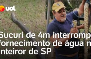 Sucuri de 4 metros entra em tubulação e interrompe fornecimento de água em SP; veja