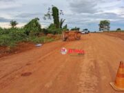 Motorista capota ao desviar de cachorro e morre em estrada