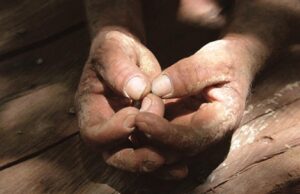 Balanço coloca Mato Grosso entre os com mais violência no campo em 2024