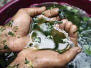 Projeções, cores e banhos para começar o ano com boas energias