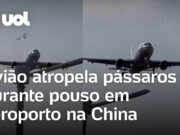 Avião atropela pássaros durante pouso em aeroporto na China; veja