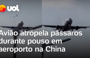 Avião atropela pássaros durante pouso em aeroporto na China; veja